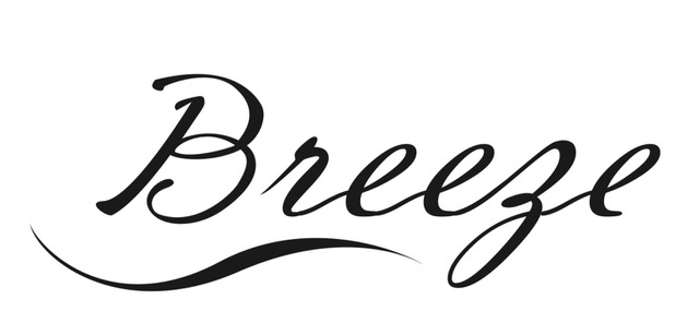 BREEZE JAPAN CORPORATION